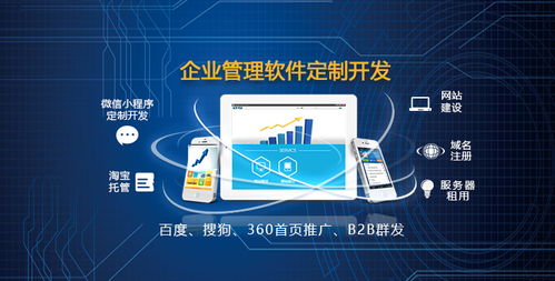 沈陽(yáng)網(wǎng)站建設(shè)與軟件開(kāi)發(fā) 圖APP開(kāi)發(fā)公司如何助力企業(yè)數(shù)字化轉(zhuǎn)型